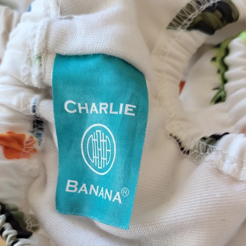 Charlie Banana Dinosaur Print Diaper Cover